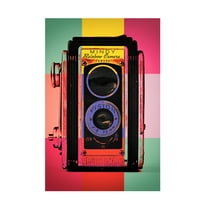 Trademark Fine Art 'Color Snap' Canvas Art by Mindy Sommers