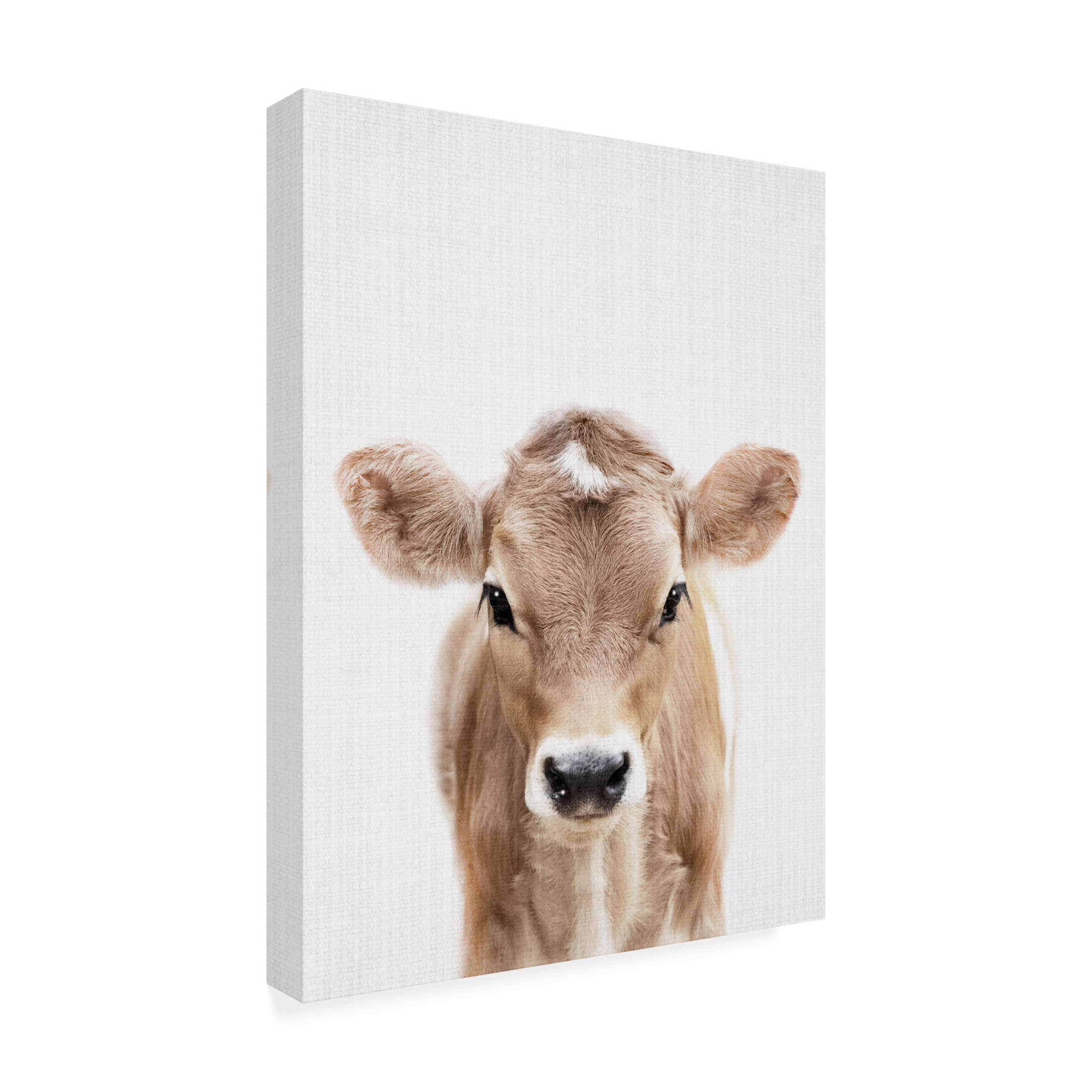 Trademark Fine Art Lola Peacock Peekaboo Baby Cow Canvas Wall Art