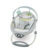 The Gentle Automatic Bouncer? - Avondale?