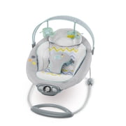 The Gentle Automatic Bouncer? - Avondale?