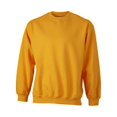 thumbnail image 1 of James and Nicholson - Jersey pesado de cuello redondo unisex (Amarillo Oro), 1 of 2