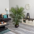 thumbnail image 4 of Nearly Natural 66" Areca Palm Artificial Tree in Planter UV Resistant, 4 of 4