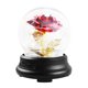 thumbnail image 1 of Cúpula de cristal Lámpara de rosas Flor para siempre Flor cálida Luz de noche Flores eternas Rosa co Irfora Lámpara de mesa, 1 of 7