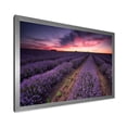 thumbnail image 2 of Designart 'Dramatic Clouds and Sunrise Over Lavender Field IX' Farmhouse Framed Art Print, 2 of 4