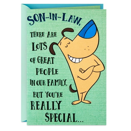 Hallmark Funny Birthday Card for Son-in-Law (You're Really Special)