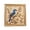 C - 25CM, variant on Bird Pearl Art DIY Kit with Frame 25cm Exquisite Floral Pearl Painting for Adults Beginners Craft Lovers Home Wall Decoration