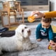 thumbnail image 5 of 2 unids Pet Taser Squeaker Dientes de pulido Dog Perro Pumpkin Formado Juguete Squeaky, 5 of 5