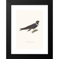 thumbnail image 2 of Coenraad Jacob Temminck 11x14 Black Modern Framed Museum Art Print Titled - White-Col Martinet (1838), 2 of 5