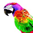 thumbnail image 6 of Colorful Artificial Parrots Figurines Miniature Pendant Hanging Bird Model Animal Sculpture Photo Props for Garden Wedding B, 6 of 8