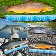thumbnail image 5 of Fish Ruler Fishing Measuring Tape, 2 Packs 36in/90cm Folding Fish Tape Measure with Storage Strap Portable Roll Up Fishing Ruler Waterproof Fish Ruler Fishing Tape Measure Tool, 5 of 5