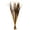 Aspen Gold, variant on Vickerman 28" Aspen Gold Splinter Grass, 11 oz Bundle, Dried