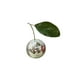 thumbnail image 5 of Billuyoard Cherry Disco Balls Kawaii Espejo Iluminación Forma de fruta Vidrio Sala de estar Decoración para el hogar Bar DJ Club Boda Vacaciones sencillo de plata 12cm 2piezas, 5 of 6