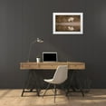 thumbnail image 3 of Jones, Adam 32x23 White Modern Wood Framed Museum Art Print Titled - Sandhill crane flying Bosque del Apache National Wildlife Refuge-New Mexico, 3 of 4