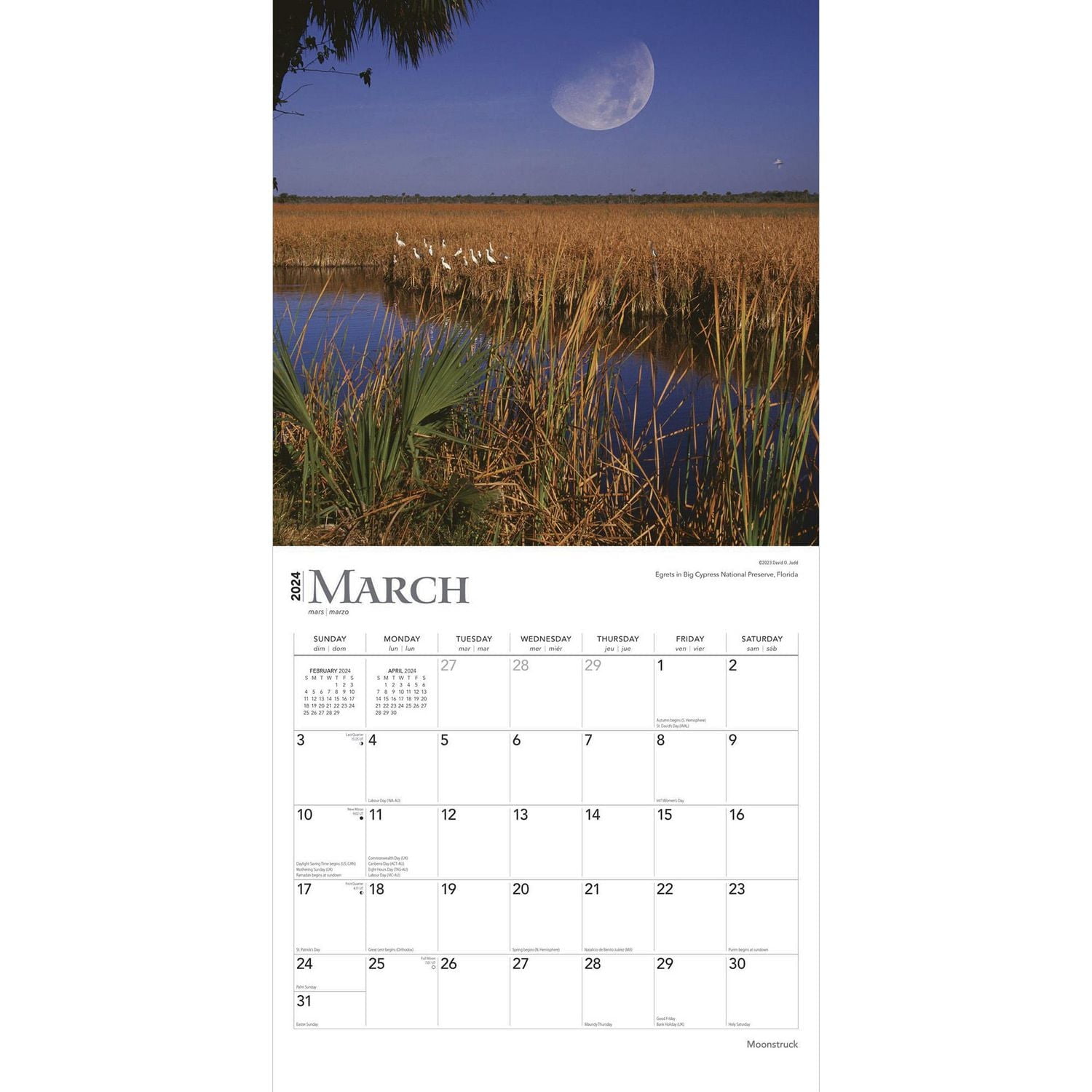 BrownTrout Moonstruck 2024 12x24 Inch Square Wall Calendar, 9781975464097