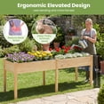 thumbnail image 6 of Costway Raised Garden Bed Elevated Pine Wood Planter Box with 2 Large Planting Areas Beige, 6 of 10