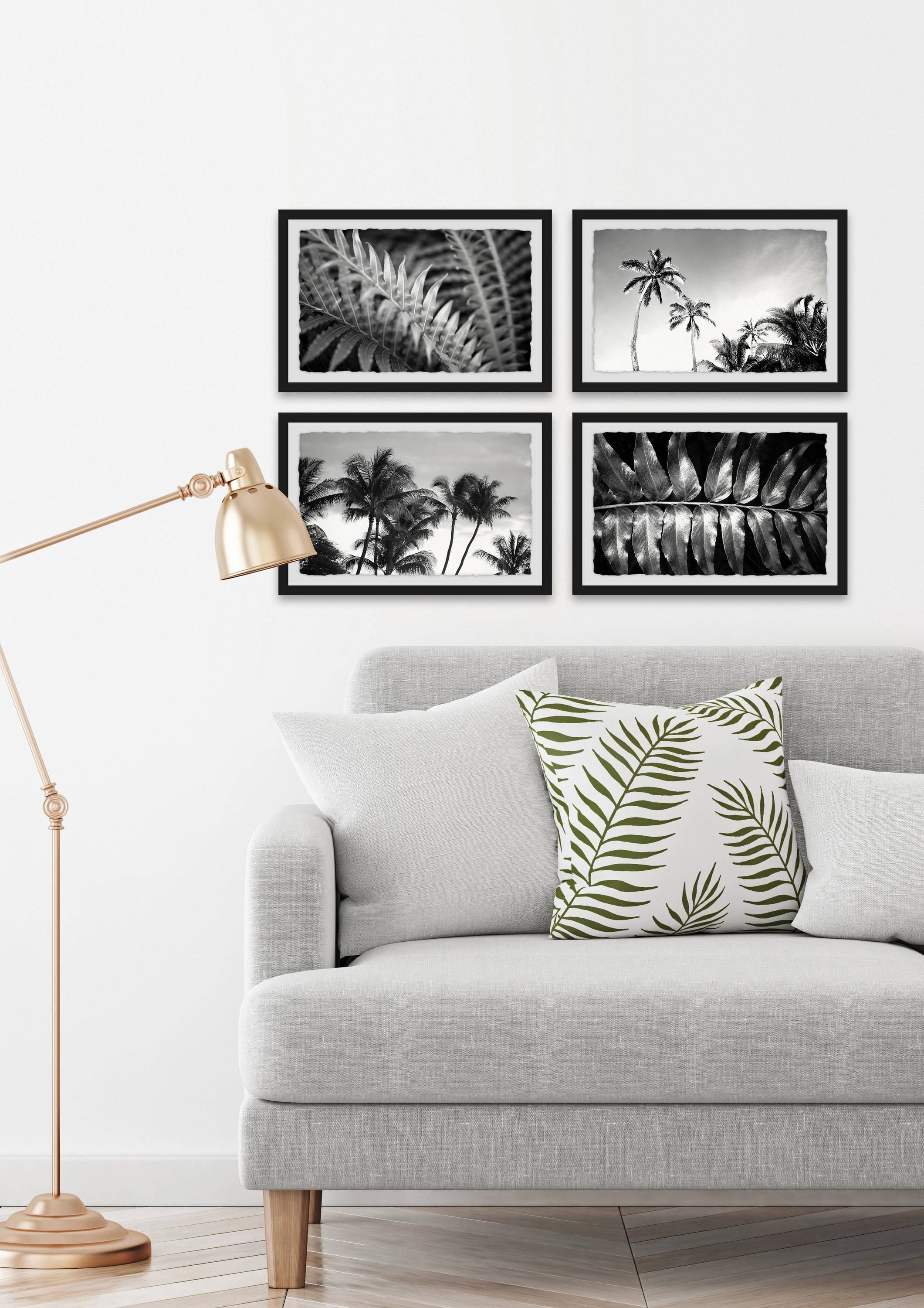 Palm Trees Quadriptych