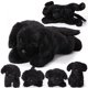thumbnail image 1 of Peluche Skylety Dog Labrador con bebés en el interior, 5 unidades, 1 of 6