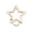 Gold, variant on Gate Spring Buckles Clip Carabiner Purses Handbags Star Shape Push Trigger Snap