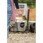 Behrens High Grade Steel 1205 5 Quart Hot Dipped Galvanized Steel Pail