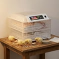 thumbnail image 4 of Kadyn 2-in-1 Digital Egg Incubator with Auto-Turning, 112 Egg Capacity for Chicken Duck Bird, Clear View Hatching Machine, Clear, 4 of 10