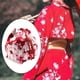 thumbnail image 4 of Bolso con cordón japonés portátil para mujeres, niñas, boda, fiesta, kimono, monedero, monedero, , oficina, escuela, almuerzo, bolsa, caja Be Vino Cereza Macarena Bolsa japonesa con cordón, 4 of 7