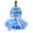 Blue Daisy, variant on Small Dog Dress, Girl Puppy Lace Princess Skirt Tutu Dress with Bowknot,Chihuahua Yorkie Clothes Outfit for Birthday Wedding Party Pink S