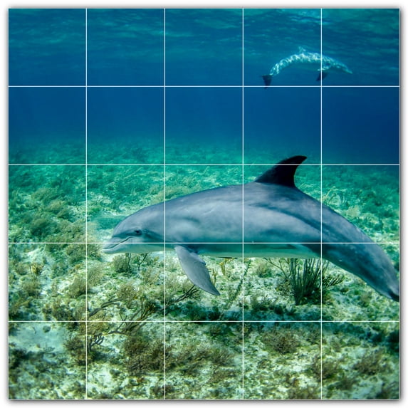 Picture-Tiles.com: Dolphin Ceramic Tile Wall Mural WAL500504-55M. 30"W x 30"H using (25) 6" x 6" Ceramic Tiles-Satin Finish