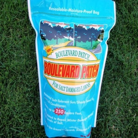 Turf Boulevard Lawn Seed Patch, 90 Spots/250 Sq Feet