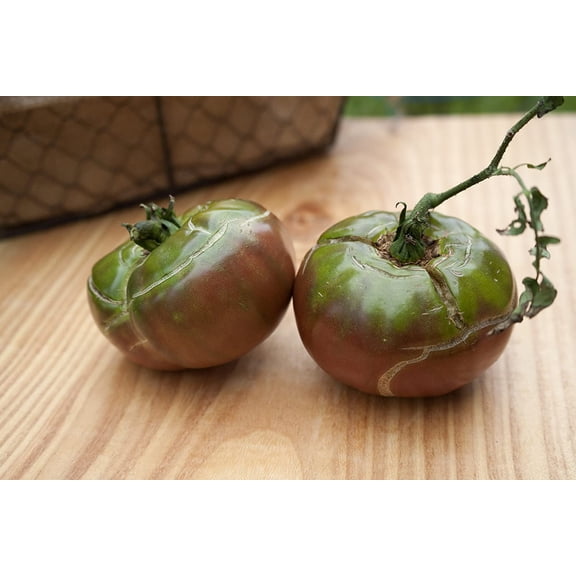 Black Master Heirloom Tomato Premium Seeds Packet