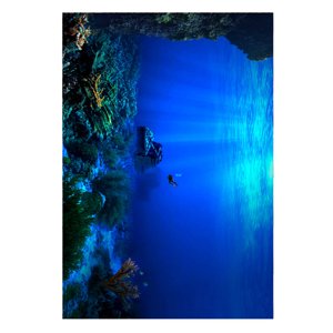 Fish Tank Background, Aquarium Background 3D Aquarium Background PVC Adhesive Seaworld Background Poster for Aquarium Fish Tank Decoration