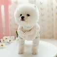 thumbnail image 5 of Dog Heart Rainbow Pattern Stitching Jacket Pet Apparel Cat Comforting Clothes, 5 of 8