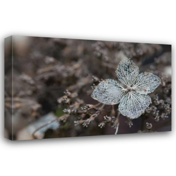 Erin Berzel 40x28 Gallery Wrapped Canvas Wall Art Titled - Flower Skeleton IV