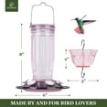thumbnail image 3 of Kingsyard Glass Hummingbird Feeder for Outdoors Wild Bird Feeder with 6 Feeding Ports Hanging for Garden Yard, Red (Ant Moat Included), 3 of 10