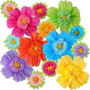 12 Pcs Large Colorful Tissue Paper Flowers 20" Giant Fiesta Paper Pom Poms Classroom Wall Decor Birthday Wedding Engagement Backdrop Centerpiece Tea Party Supplies (Rainbow Color)