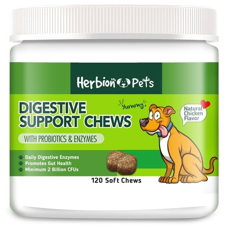 Herbion Pets Digestive Support Chews with Probiotics and Enzymes 120 Soft Chews - with Daily Digestive Enzymes - for Improved Gut Health - Minimum 2 Billion CFUs - Made in USA - for Dogs 12 Weeks+