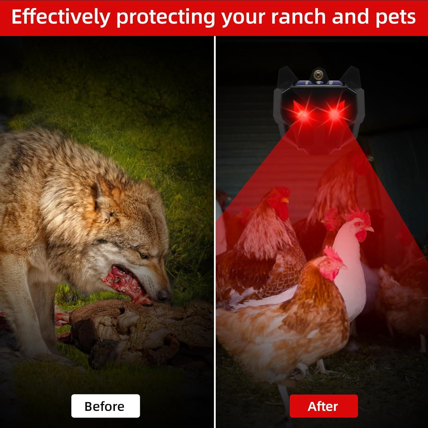 8 Pack 2025 Solar Nocturnal Animal Repeller Coyote Deterrent Predator Lights for Chicken Coop Farm Yard