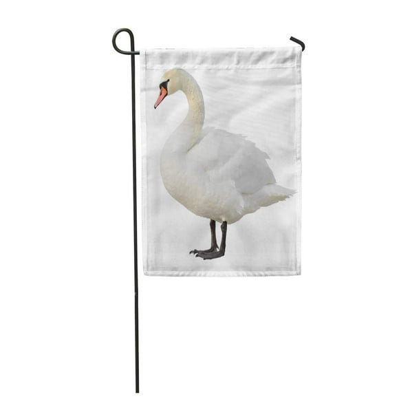 NUDECOR White Mute Swan Standing Cygnus Olor Bird Beautiful Beauty Garden Flag Decorative Flag House Banner 12x18 inch