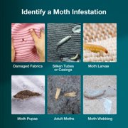 Moth Trap 10-Pack, Slowly Releases Enhanced 2X Pheromones, Lures, Trap & Kill Pantry & Clothes Moths, Food, Wardrobe & Dresser Moth Treatment & Prevention, Odorless, Safe & Eco-Friendly
