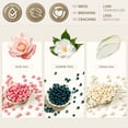 thumbnail image 2 of Lifestance Brazilian Bikini Wax Beads - 300g Hard Wax Beans for Hair Removal on Face, Body, Legs, Underarms - Jasmine, Cream & Rose Scents, 2 of 8