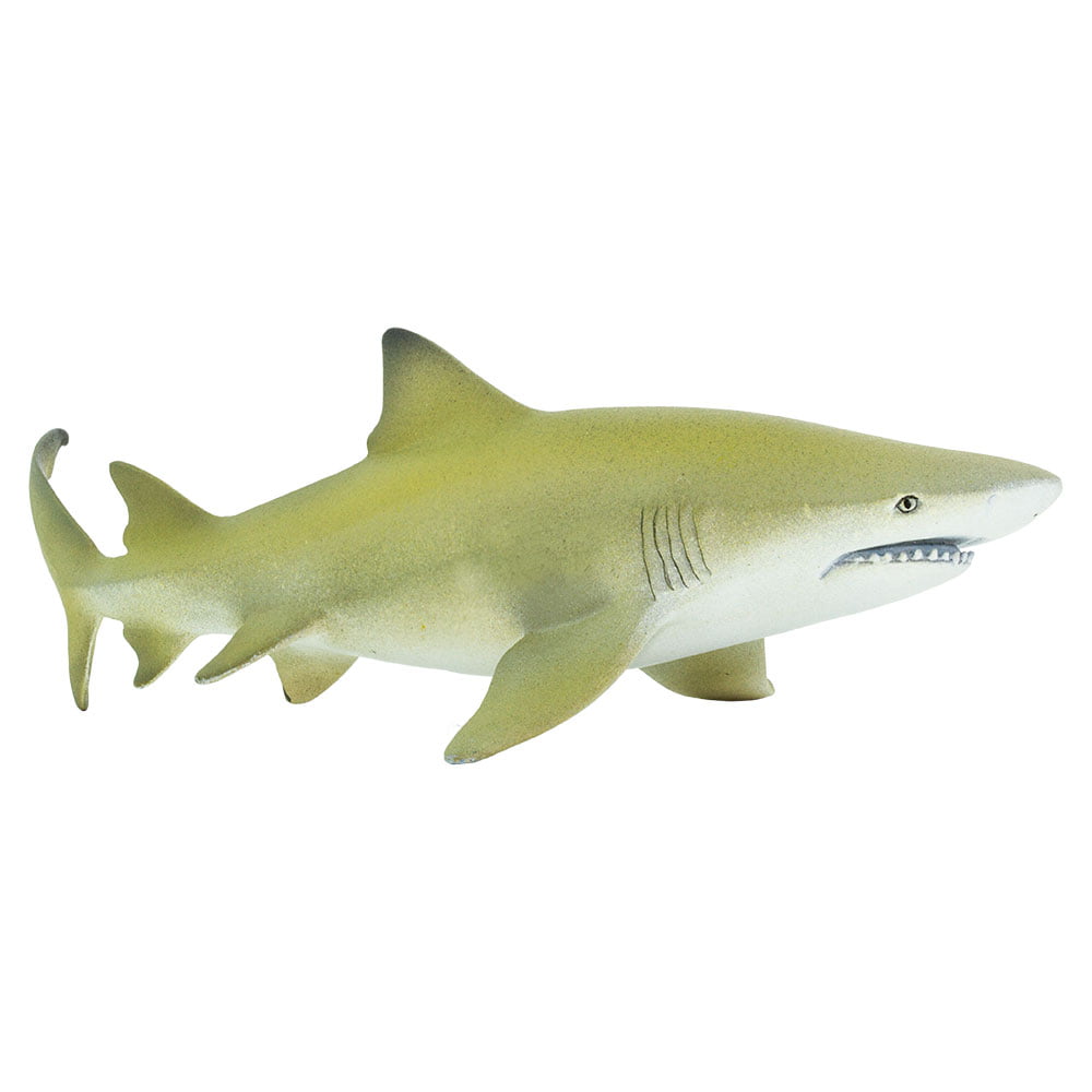 Safari Bambou Shark solide Jouet en plastique Poisson sauvage mer animaux marins NOUVEAU * 