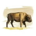 thumbnail image 2 of Popp, Grace 24x20 Black Ornate Wood Framed with Double Matting Museum Art Print Titled - Bison Watercolor Sketch I, 2 of 4