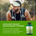 thumbnail image 2 of Swanson Prebiotic Capsules - Promotes Friendly Flora Support & Overall Digestive Health - Prebiotic Fiber Promoting Gut Health & Immune Health Support - (120 Veggie Capsules, 375mg Each) 4 Pack, 2 of 8