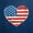 Brown Navy, variant on Manfei Vintage Stripes Kitchen Curtains, Patriotic Stars Black Out Curtains Pack of 2 (42x63 Each), Red White Blue