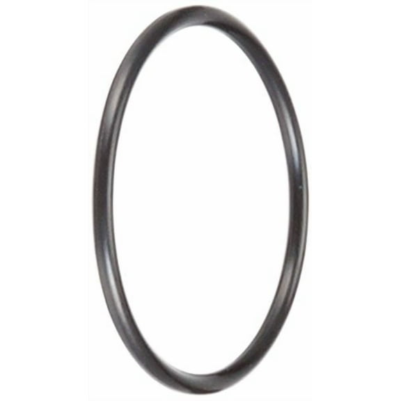 Hayward SPX1425Z6 O-Ring for Floor Inlet, Union and Filters