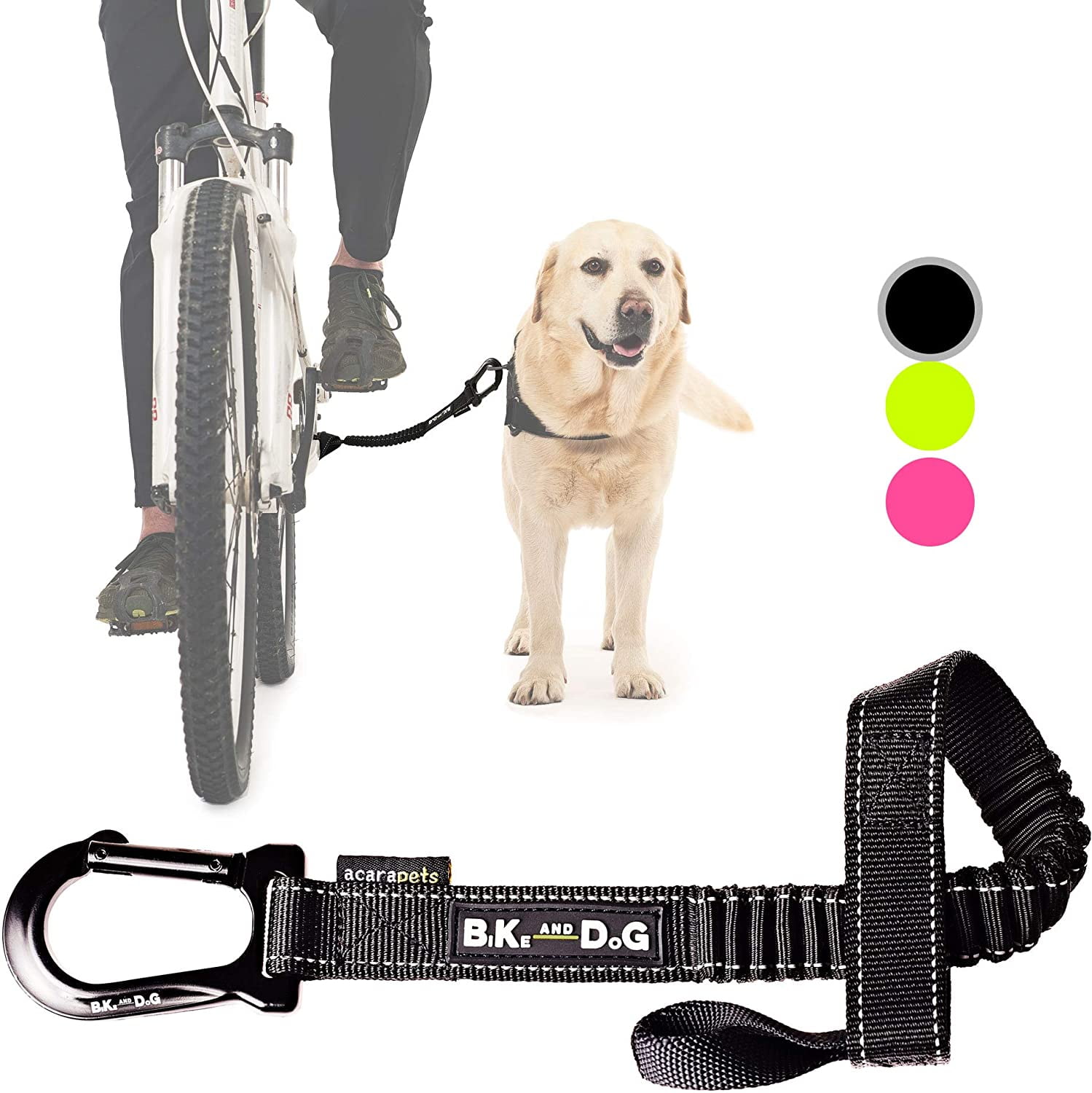 Buy dog lead Outlet