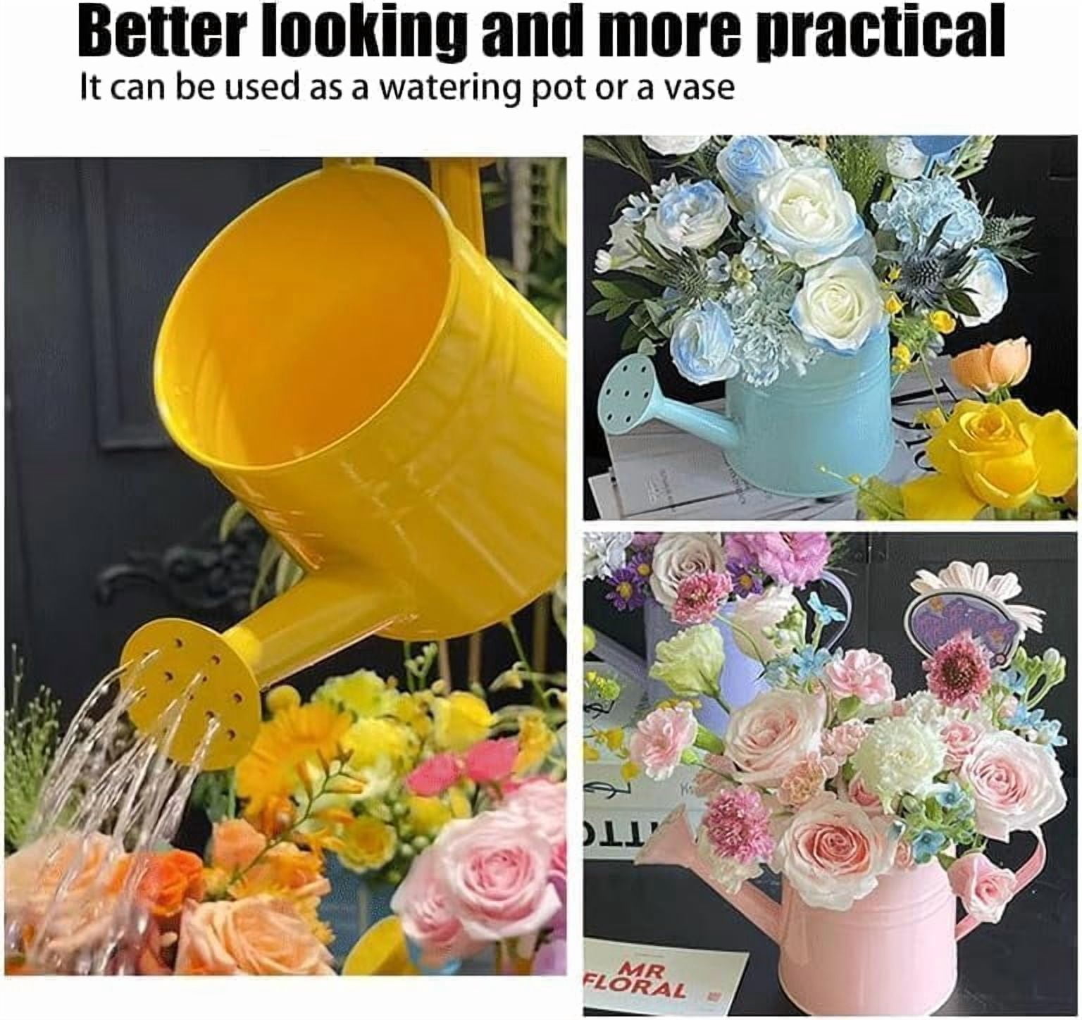 White Watering Can, 1l Metal Garden Watering Can, Vintage Sprinkling Can for Flowers, Indoor & Outdoor Plants, Lawn & Garden Irrigation Tool