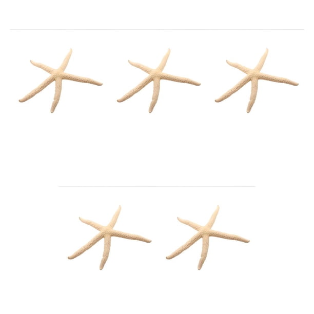 Injueey Natural 5-12 cm/10-12 cm dedo blanco estrella de mar mar elegante hogar pelo boda decoración y proyecto artesanal Type1 NO1