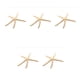 thumbnail image 1 of Injueey Natural 5-12 cm/10-12 cm dedo blanco estrella de mar mar elegante hogar pelo boda decoración y proyecto artesanal Type1 NO1, 1 of 6