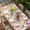 Off-White, variant on Watercolor Floral Table Cloths for 4 Foot Rectangle Tables, Retro Botanical Flowers Leaves Spring Beige Patio Waterproof Elastic Fitted Tablecloths, Washable Rectangular Table Cover for Camping