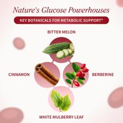 Snap Supplements Blood Sugar Blend with Chromium Picolinate, Botanicals, Co-Enzymes - 60 Capsules